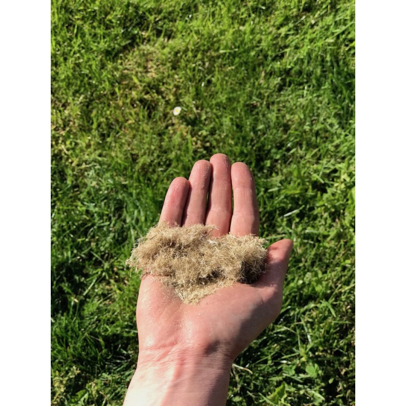 Chanvre Fibre courte 2/3 centimètre