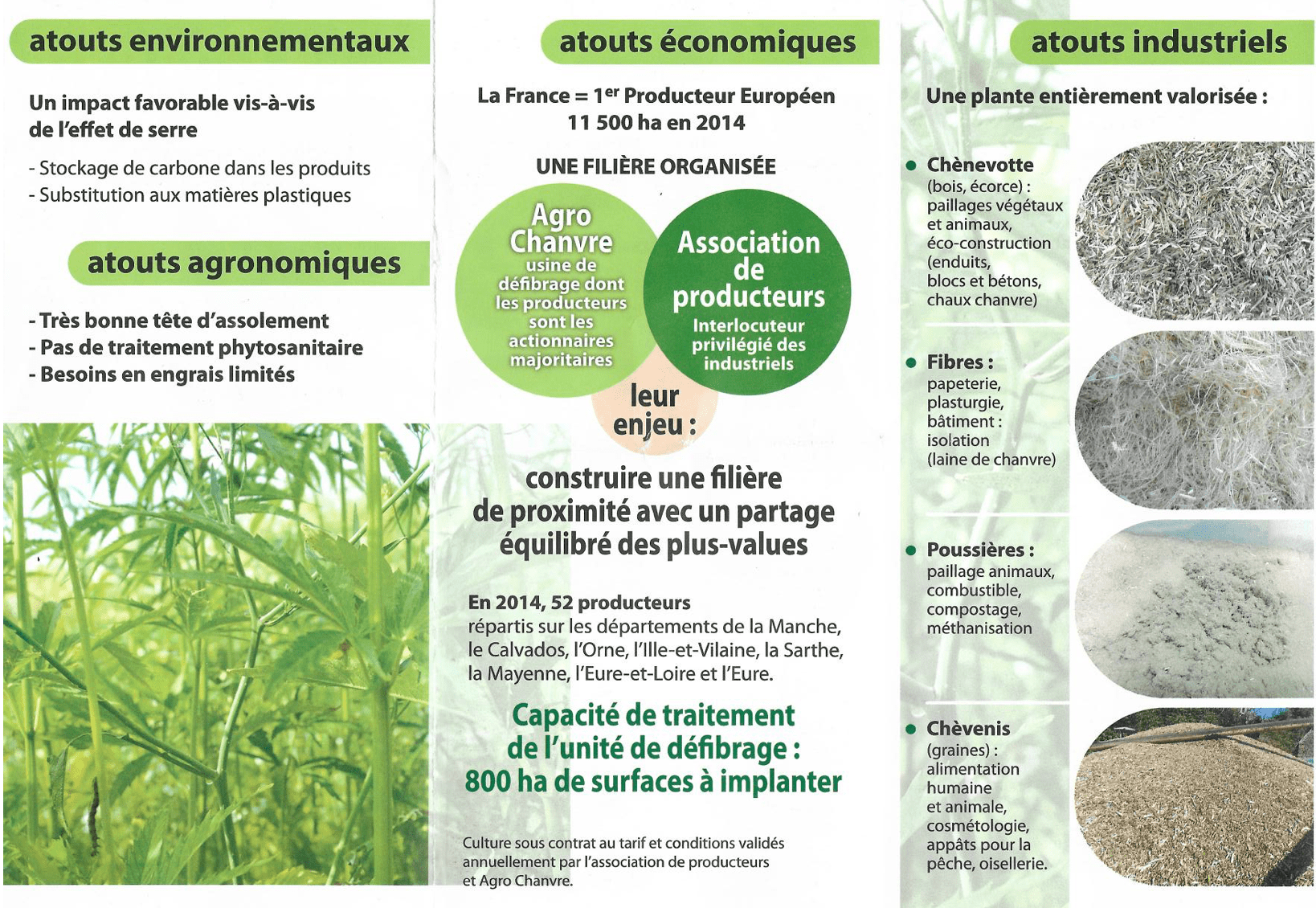 Le Chanvre AgroChanvre filière locale